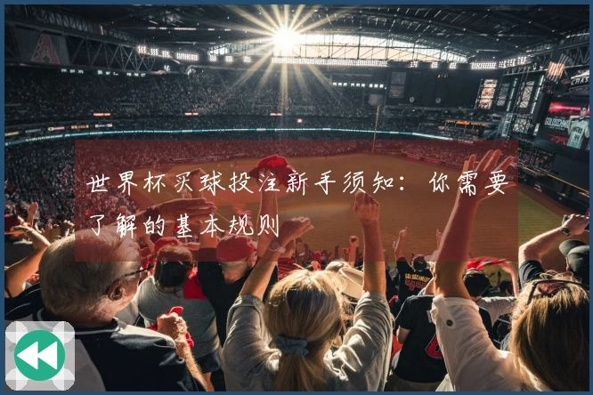 世界杯买球投注新手须知：你需要了解的基本规则